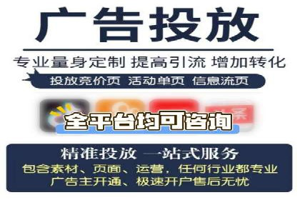 百度竞价推广运营实战技巧与经典案例剖析